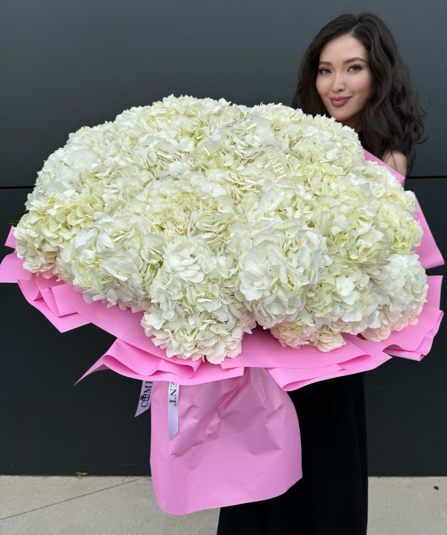 XL WHITE HYDRANGEAS