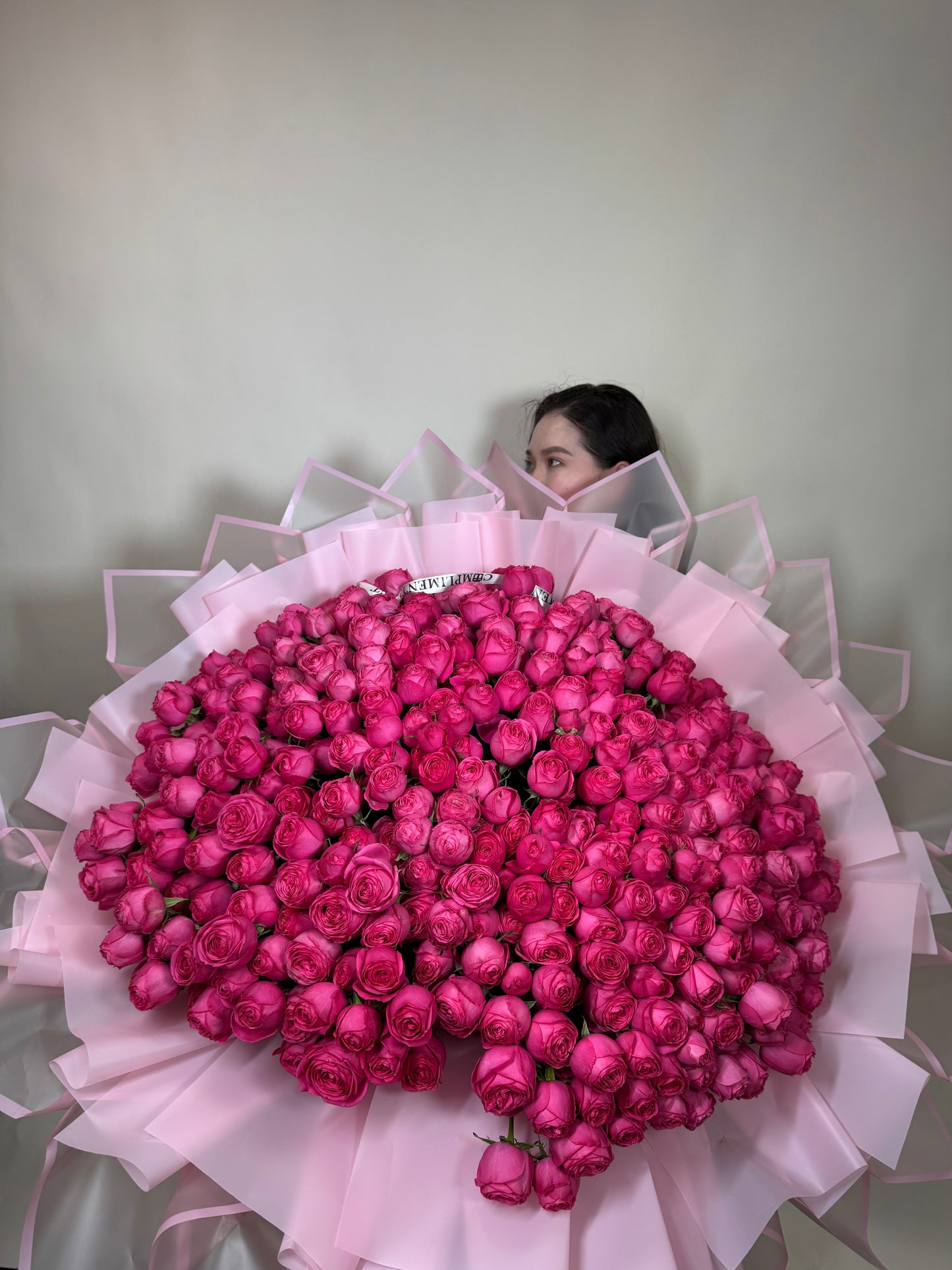 GISELLE: XL/ PINK