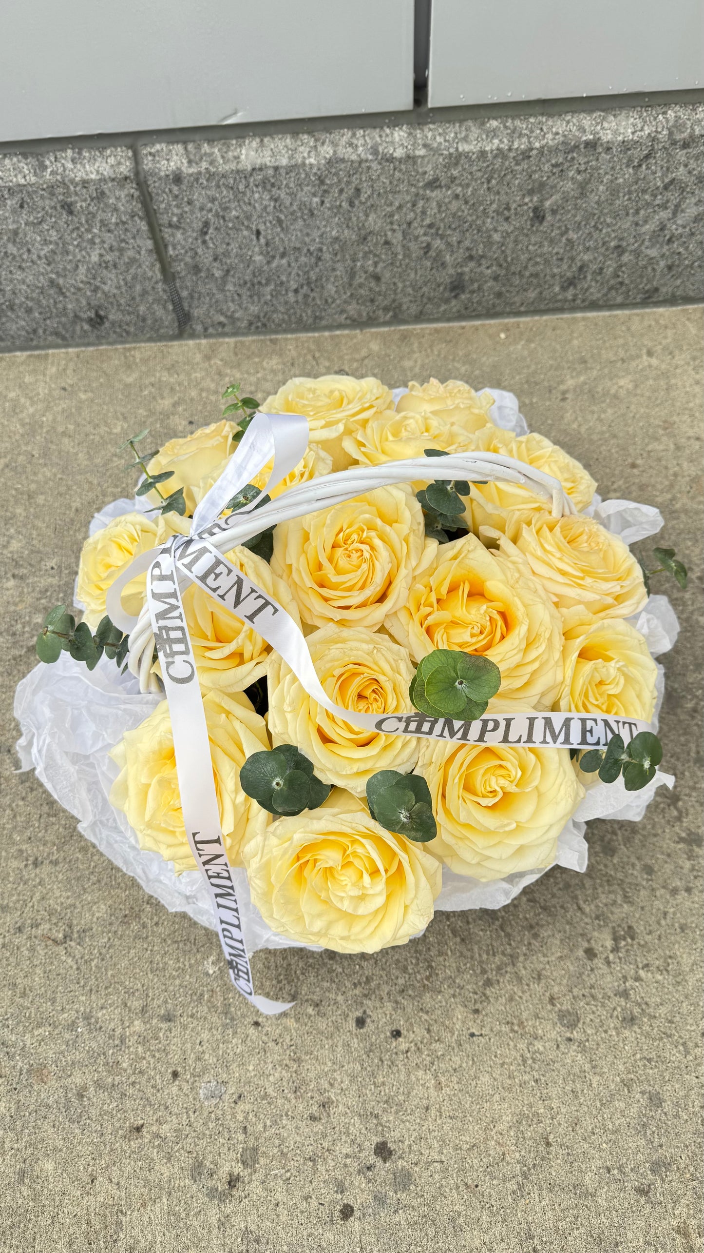 S/GARDEN ROSES