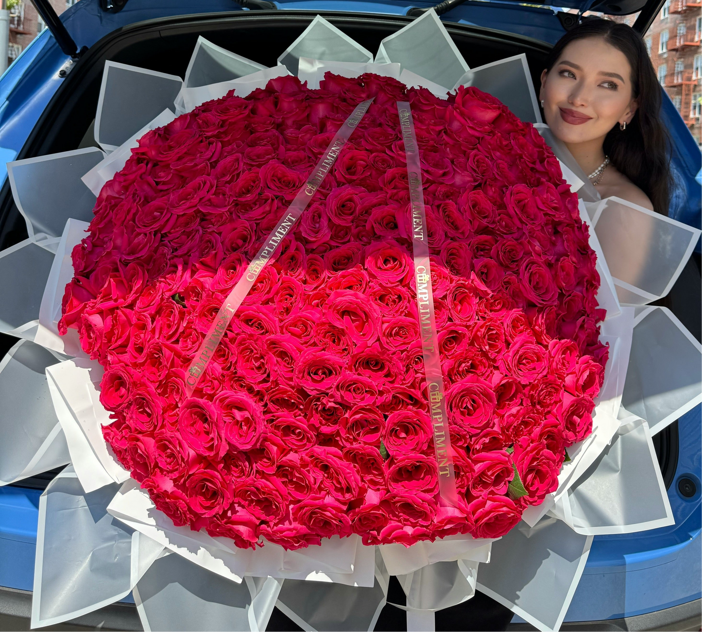 251 HOT PINK ROSES
