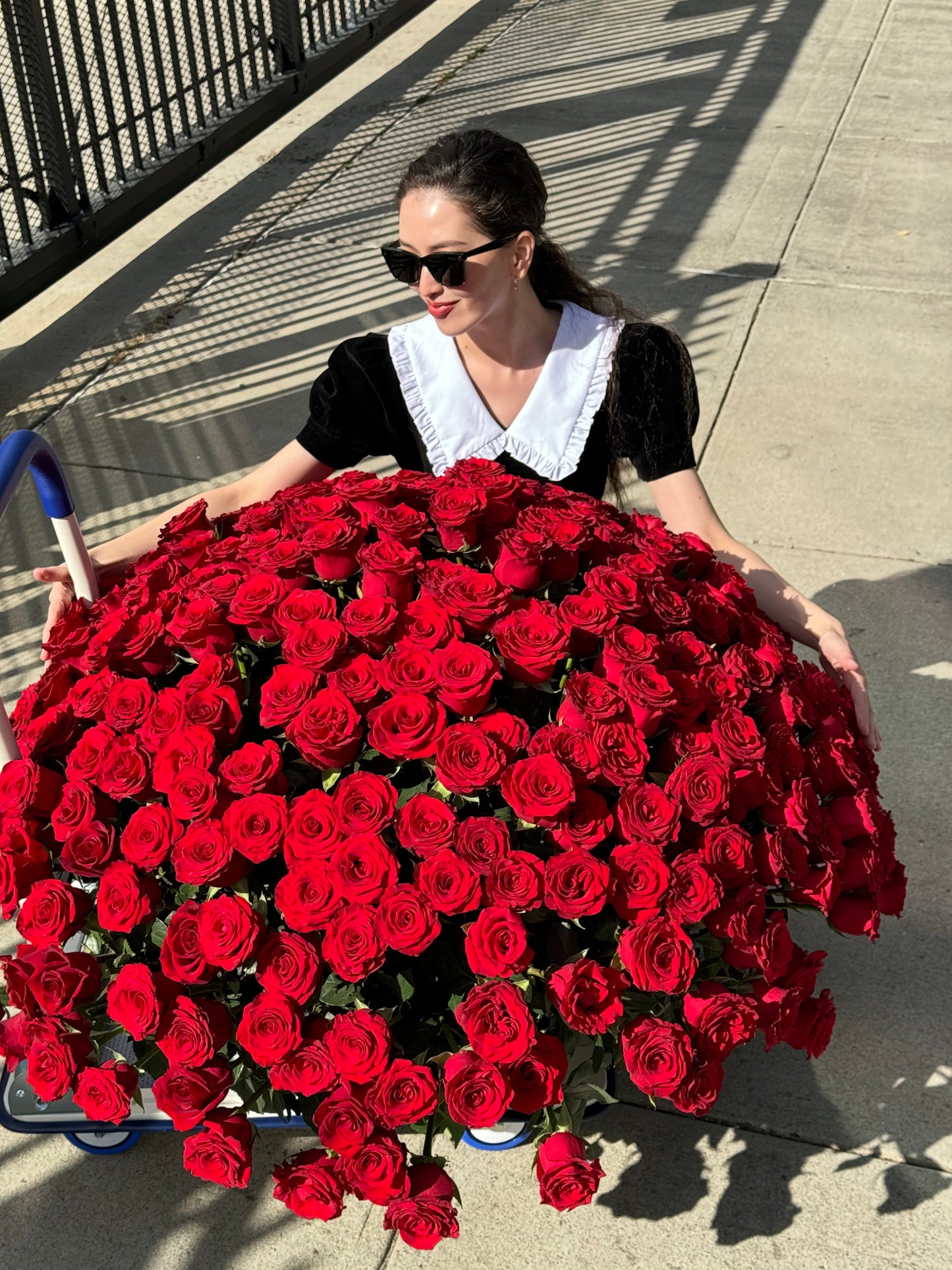 251 RED ROSES IN A BASKET