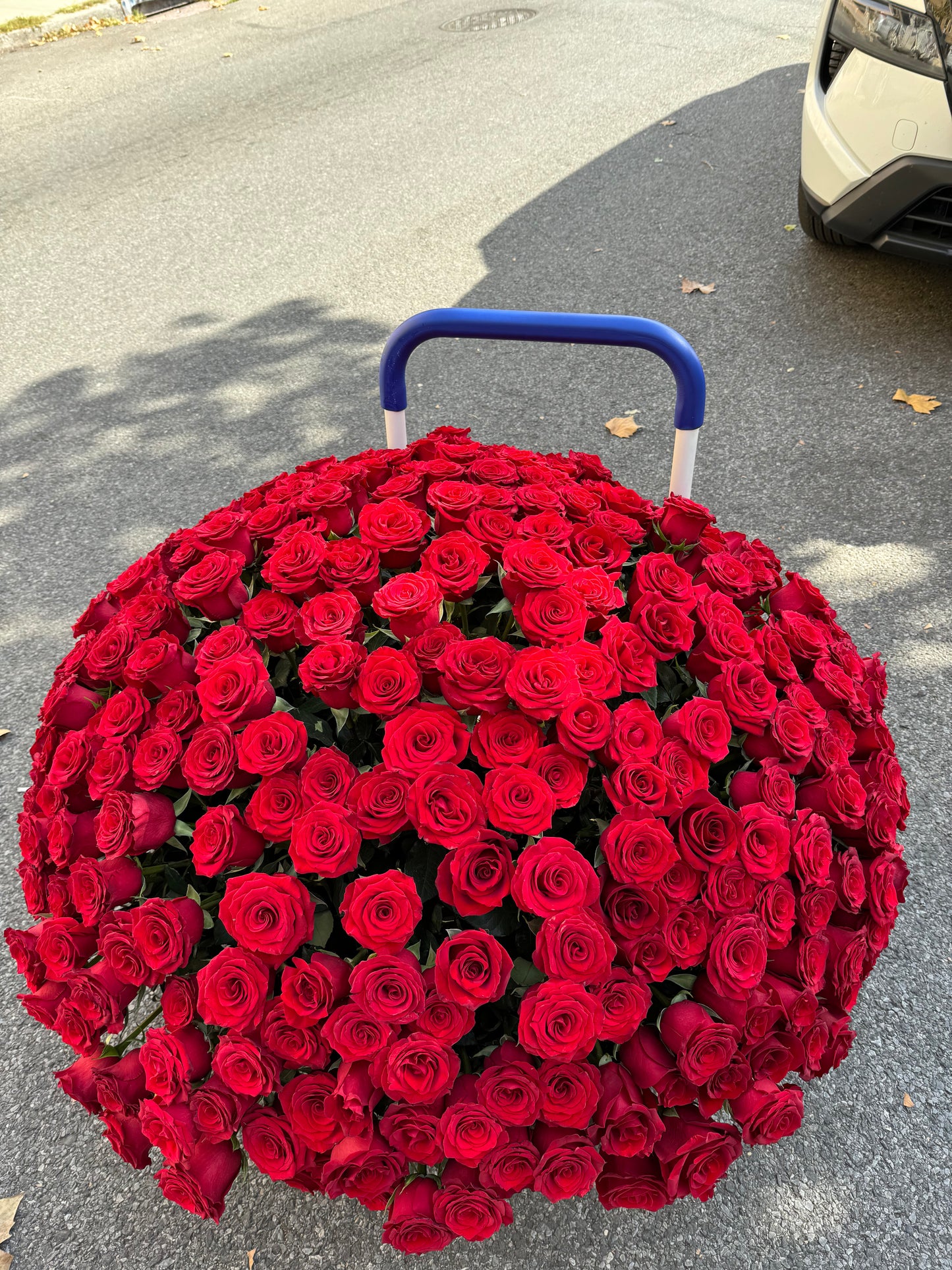 251 RED ROSES IN A BASKET