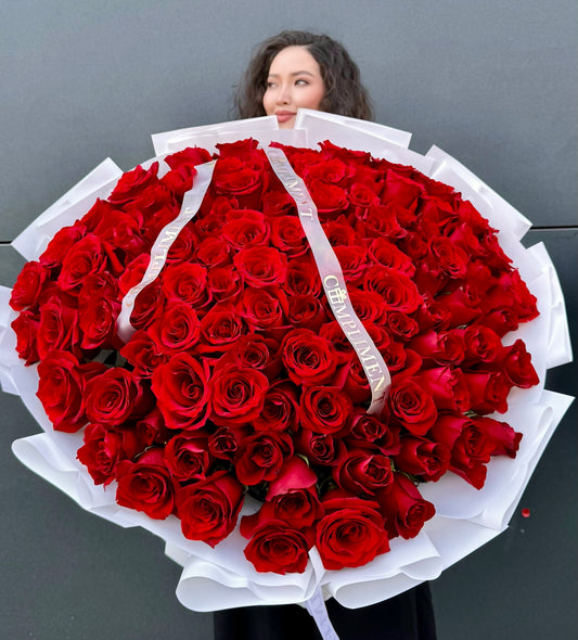 100 ROSES RED