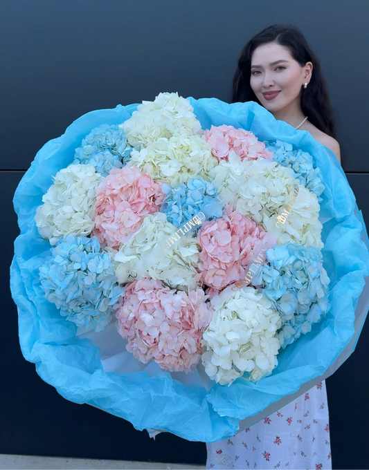 MIX HYDRANGEAS/ M