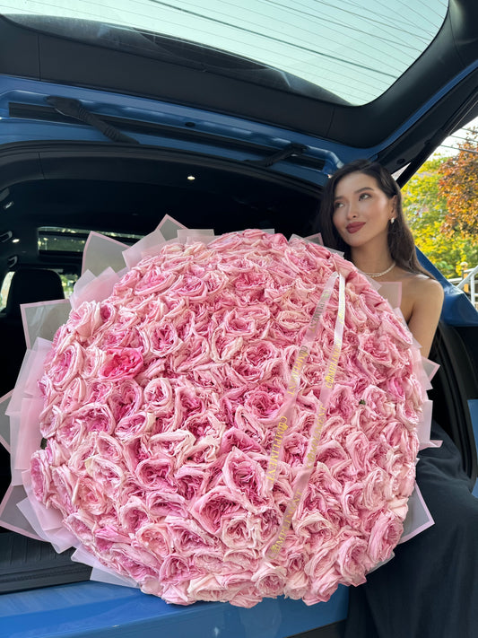 251 PINK PEONY ROSES