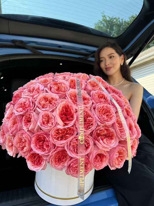 101 PINK PEONY ROSES IN A BOX