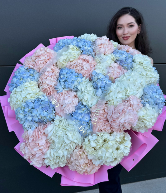 XL/HYDRANGEAS MIX