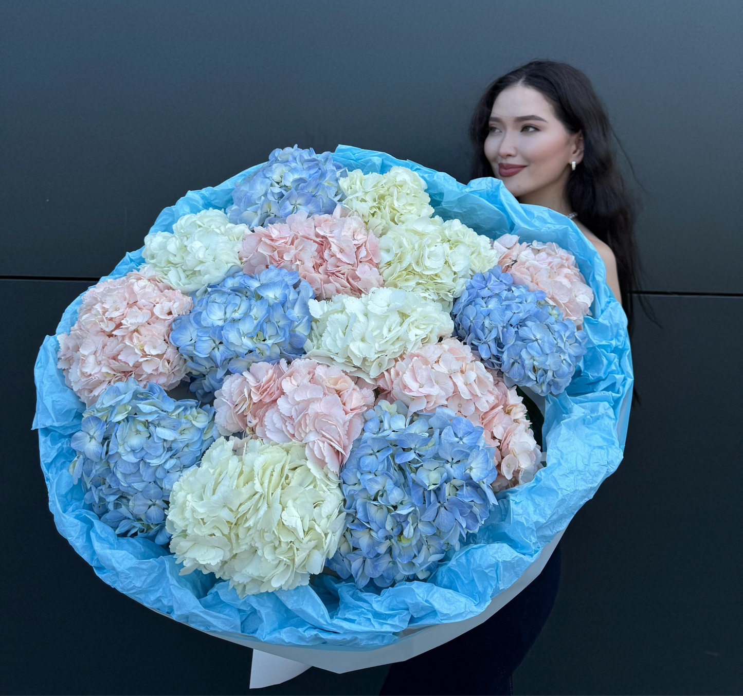 MIX HYDRANGEAS/ M