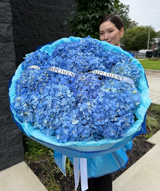 BLUE HYDRANGEAS/ M