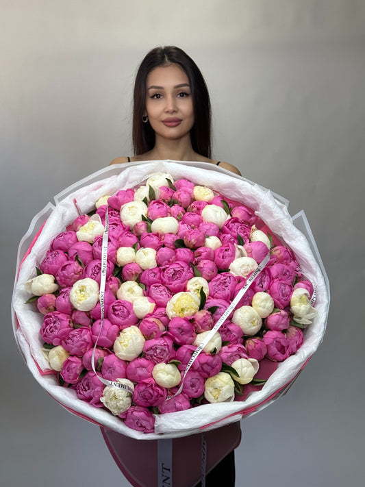100 MIX PEONIES