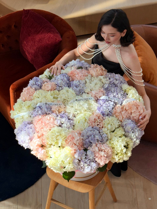 BOX OF HYDRANGEAS/ XL
