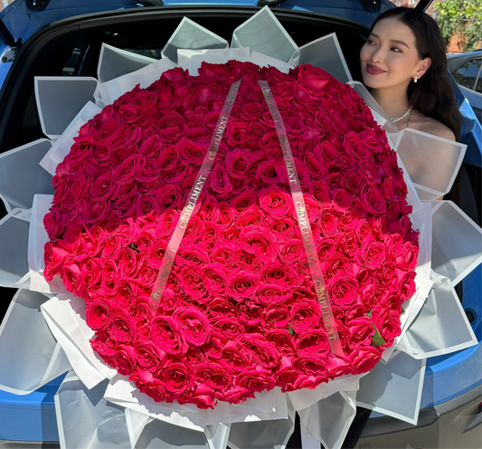 251 HOT PINK ROSES