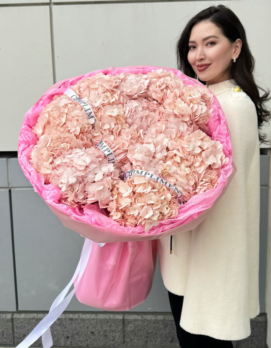 M/ HYDRANGEAS PINK