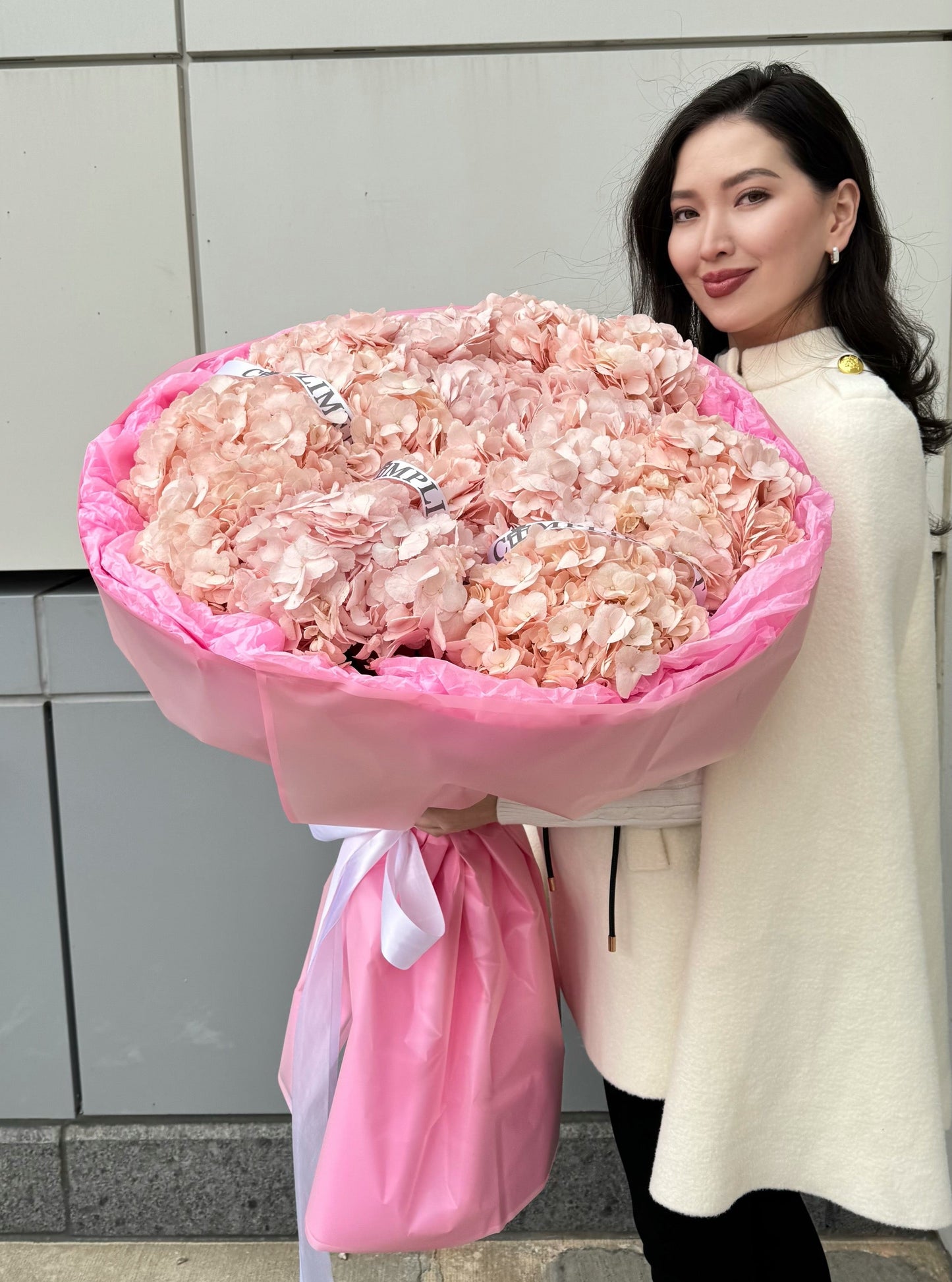 M/ HYDRANGEAS PINK