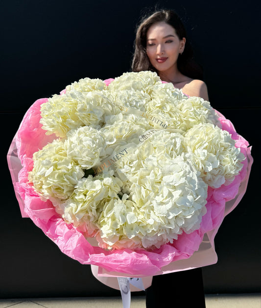 HYDRANGEAS WHITE/M