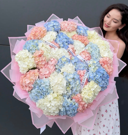 HYDRANGEAS MIX/ XL
