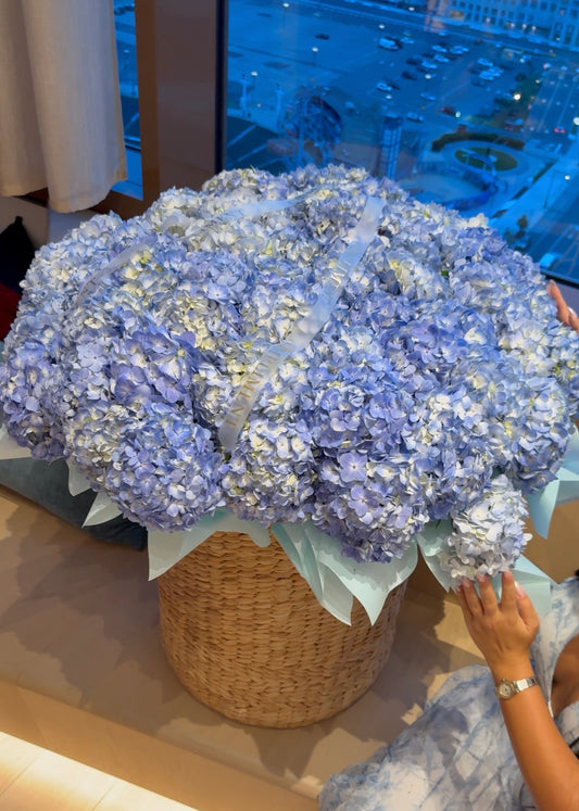 XXL/ BLUE HYDRANGEAS