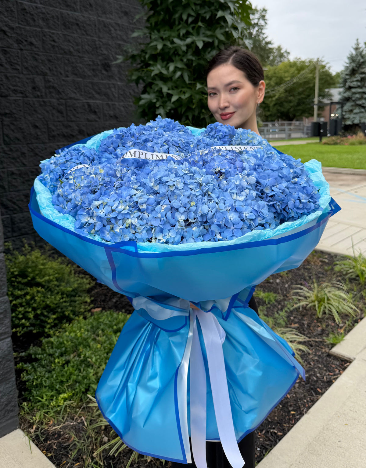 BLUE HYDRANGEAS/ M