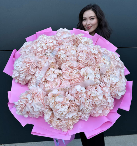 HYDRANGEAS PINK /L
