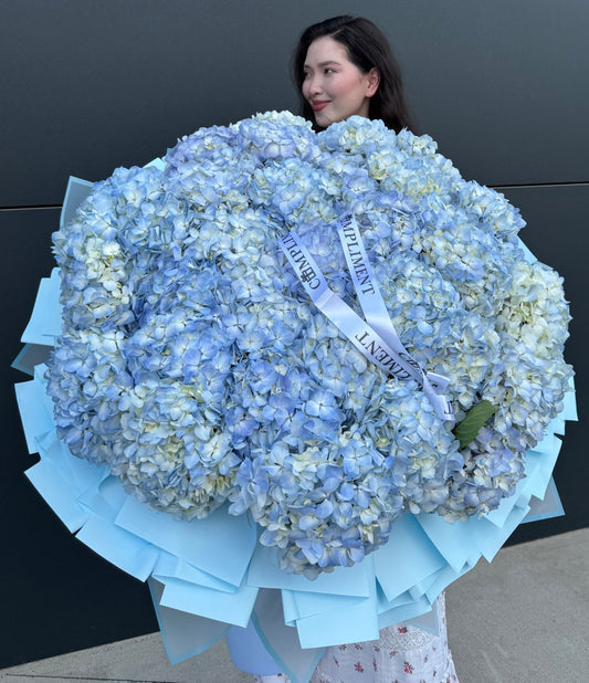 HYDRANGEAS BLUE/ XL