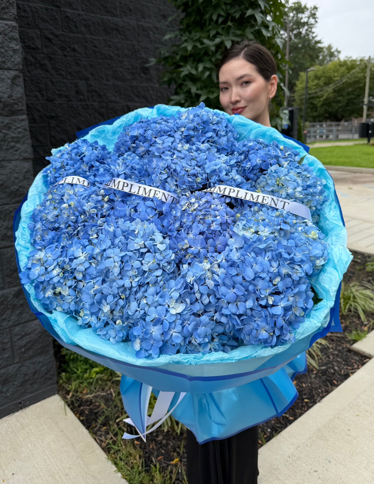 BLUE HYDRANGEAS/ M