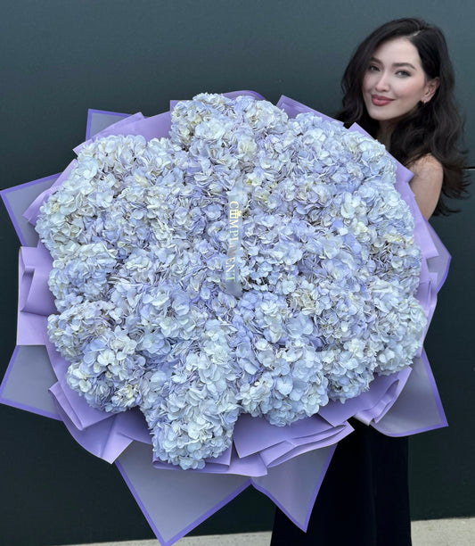 XL/HYDRANGEAS LAVENDER