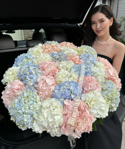 BASKET/L HYDRANGEAS MIX
