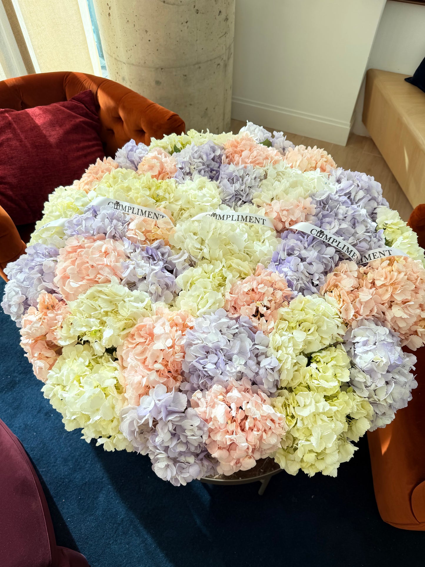 BOX OF HYDRANGEAS/ XL