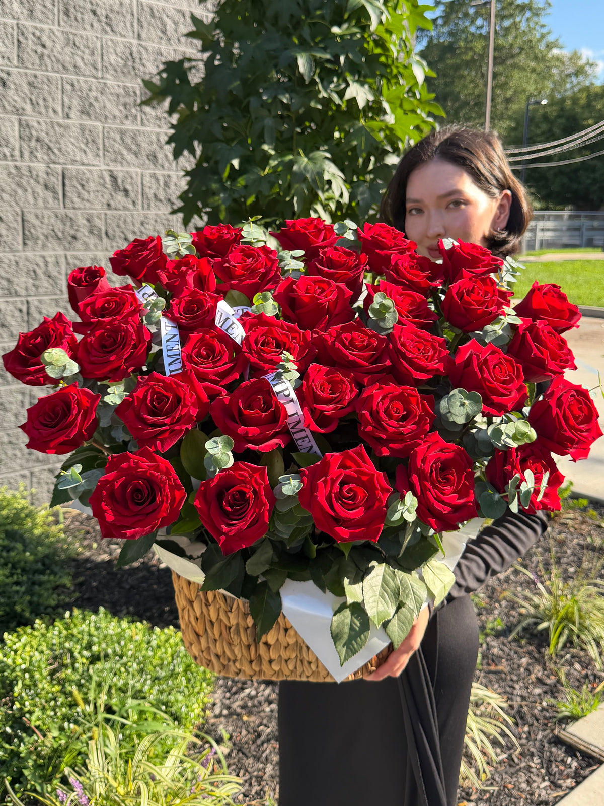 50 RED ROSES/ M