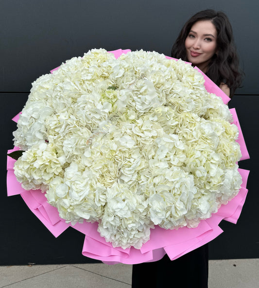 XL WHITE HYDRANGEAS