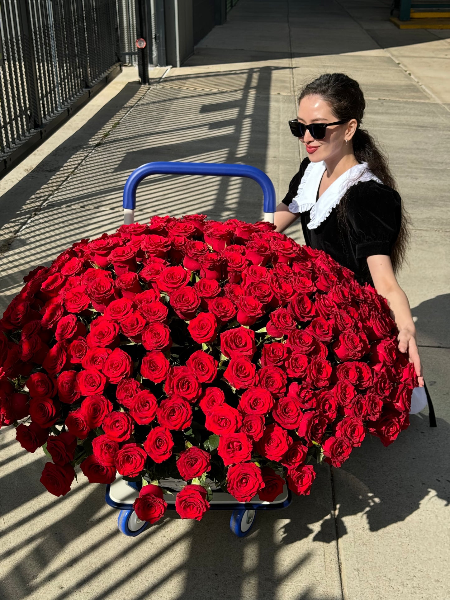 300 RED ROSES IN A BASKET